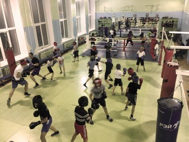 �����������