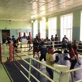 �����������