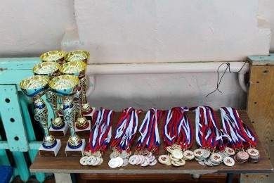 �����������